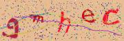 Beeld-CAPTCHA