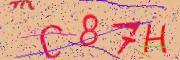 Beeld-CAPTCHA
