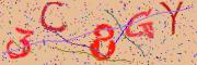 Beeld-CAPTCHA