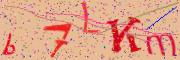Beeld-CAPTCHA