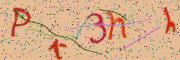 Beeld-CAPTCHA