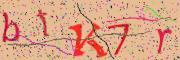 Beeld-CAPTCHA