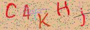 Beeld-CAPTCHA