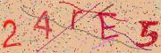 Beeld-CAPTCHA