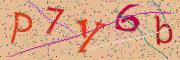 Beeld-CAPTCHA