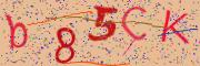 Beeld-CAPTCHA