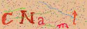 Beeld-CAPTCHA