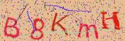 Beeld-CAPTCHA