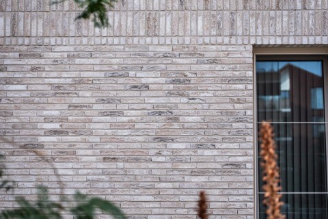 Grijze gevel project Ezeldijk Diest