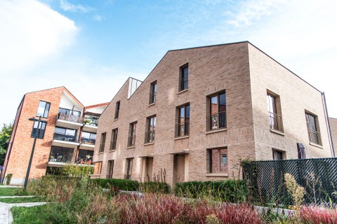 Project Ezeldijk Diest - kleurrijke gevels met bakstenen