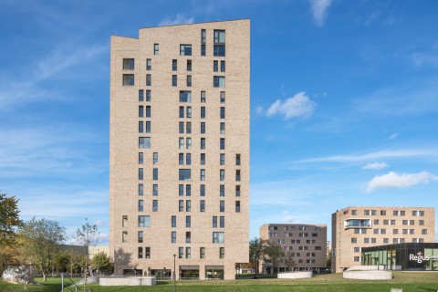 Modern project in gele gevelsteen verlijmd
