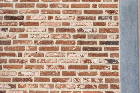 Woning met gevel in wildverband