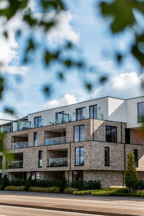 Project Nervi in Maasmechelen