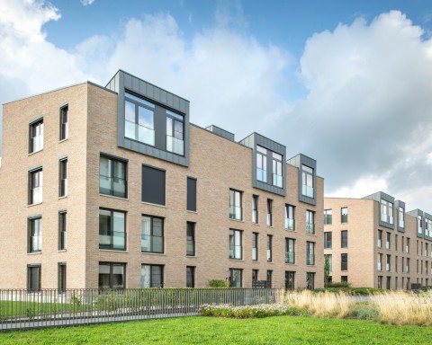Monet
